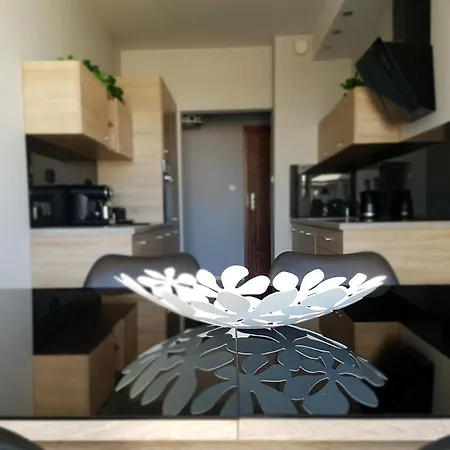 Apartament Ericius *